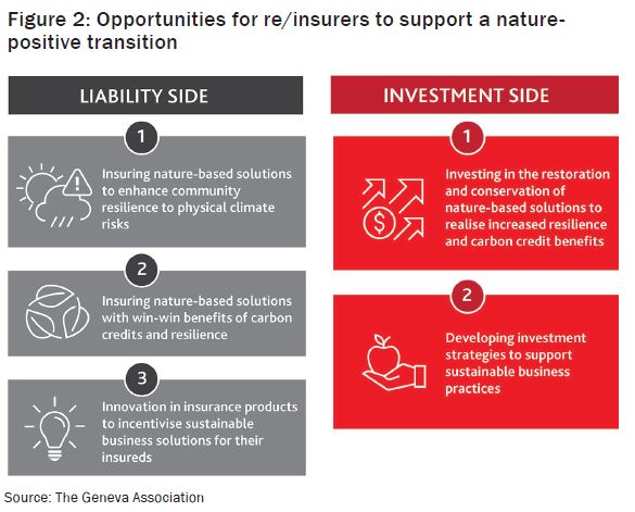 Opportunities for re/insurers to support a nature-positive transition